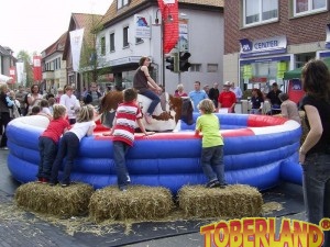 Bull Riding